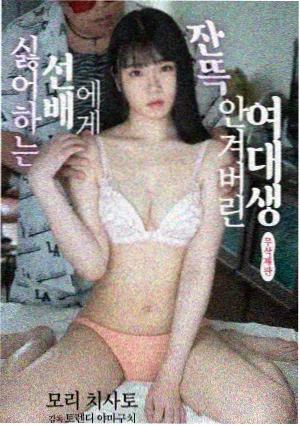 女大学生沙龙2 新人引导组成员顾栖迟